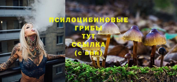 тгк Алзамай