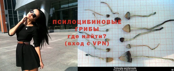 мескалин Абаза