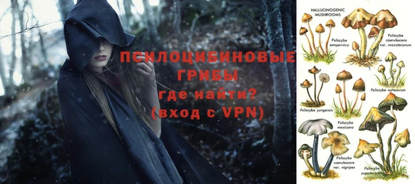 тгк Алзамай