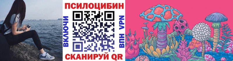 Псилоцибиновые грибы Psilocybine cubensis купить наркотики цена Мыски